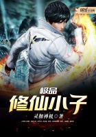 极品小子修真记