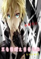 王者荣耀之无弹窗