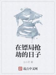 我在镖局抢劫的日子