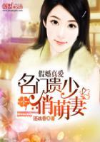 名门贵少小娇妻宠你上瘾