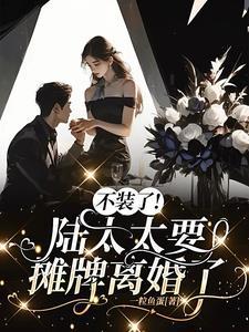 陆太太又在闹离婚了陆北司