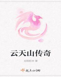 云天山传奇的导演是谁