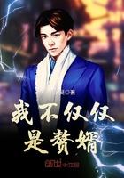 我不仅仅是赘婿剧情介绍