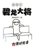 海贼之海军大将赤龙