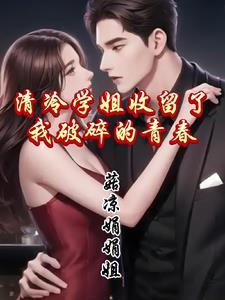 清冷学姐收留了我破碎的青春免费阅读