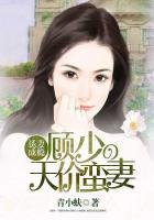 顾少诱妻入局很上瘾