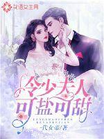 冷少夫人来袭全文阅读