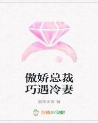 冷情总裁傲侨妻