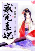 盛宠太子妃免费阅读