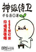 神级侍卫陈杨3000