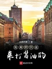 我只是打酱油的up