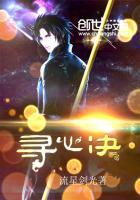 寻心诀原著叫什么