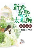 限时婚姻免费阅读