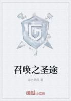 召唤圣者遴选什么属性最好