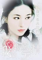 我的物质爱情免费阅读