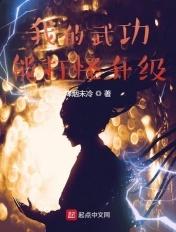 我的武功能加点笔趣阁