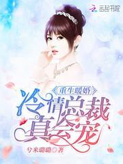 重生暖婚冷情总裁