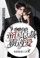 亿万盛宠 帝国总裁霸道爱 我想静静