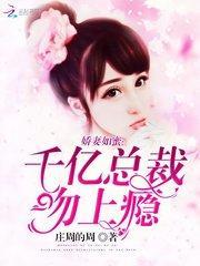 千亿总裁宠妻如命