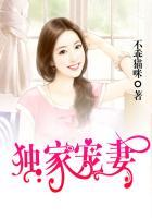 独家宠妻金主的第一夫人