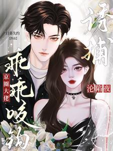 京圈大佬的甜宠文