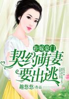 萌宠老婆小神仙