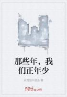 那些年我们正年轻原著