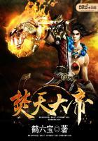 焚天大帝阅读