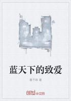 蓝天下的至爱歌词完整版