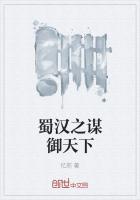 蜀汉之谋御天下 忆邢