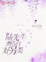 陆先生别追了免费阅读