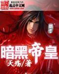 暗黑帝皇铠甲第二季