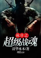 抗日之超级战魂TXT奇书网