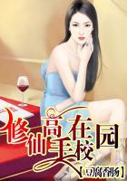 修仙高手在校园 大象无形