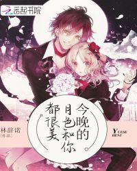 今晚月色很美是什么歌