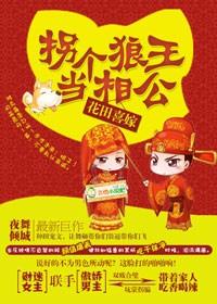 拐个王爷当相公