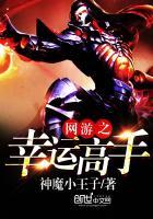 网游之幸运至尊免费阅读