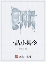 一品县令秦风
