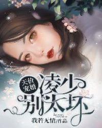 凌少别太坏完本