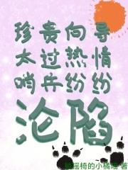 关于向导和哨兵的