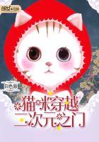 穿越在二次元的黑猫