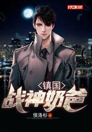 镇国战神奶爸宁