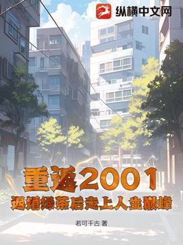 重返2001笔趣阁