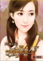 恶魔总裁好霸道花盼