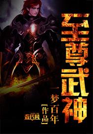 至尊武神叶风叶紫灵免费阅读