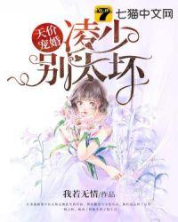 天价凌少宠妻别太坏