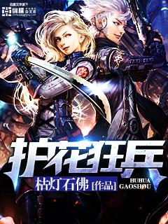 护花狂兵 心在流浪