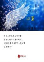属于我们的羽翼英文