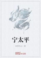 宁太平是谁