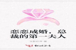 总裁的第一夫人念凉凉